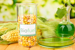Llandudno biofuel availability